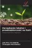 Zarz?dzanie lokalne i przedsi?biorczo?? na Haiti