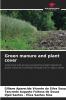 Green manure and plant cover