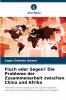 Fluch oder Segen? Die Probleme der Zusammenarbeit zwischen China und Afrika