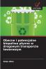 Obecne i potencjalne biopaliwa płynne w drogowym transporcie towarowym