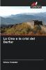 La Cina e la crisi del Darfur