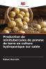 Production de minitubercules de pomme de terre en culture hydroponique sur sable