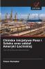 Chińska inicjatywa Pasa i Szlaku oraz udział Ameryki Łacińskiej