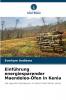 Einführung energiesparender Maendeleo-Öfen in Kenia