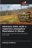 Adozione delle stufe a risparmio energetico Maendeleo in Kenya