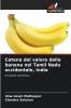 Catena del valore della banana nel Tamil Nadu occidentale India