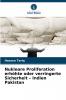Nukleare Proliferation erhöhte oder verringerte Sicherheit - Indien Pakistan