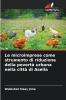 Le microimprese come strumento di riduzione della povertà urbana nella città di Asella