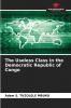 The Useless Class in the Democratic Republic of Congo
