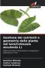 Gestione dei nutrienti e geometria delle piante nel taro(Colocasia esculenta L)
