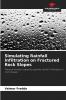 Simulating Rainfall Infiltration on Fractured Rock Slopes