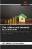 Tax culture and property tax collection