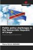 Public policy challenges in the Democratic Republic of Congo