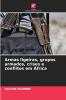 Armas ligeiras grupos armados crises e conflitos em África