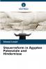 Steuerreform in Ägypten Potenziale und Hindernisse