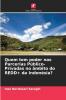 Quem tem poder nas Parcerias Público-Privadas no âmbito do REDD+ da Indonésia?