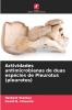 Actividades antimicrobianas de duas espécies de Pleurotus (pleurotos)
