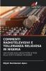 COMMENTI RADIOTELEVISIVI E TOLLERANZA RELIGIOSA IN NIGERIA