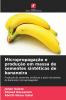 Micropropagação e produção em massa de sementes sintéticas de bananeira