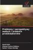 Problemy i perspektywy małych i średnich przedsiębiorstw
