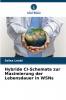 Hybride CI-Schemata zur Maximierung der Lebensdauer in WSNs