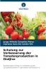 Schulung zur Verbesserung der Tomatenproduktion in Ondjiva