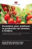 Formation pour améliorer la production de tomates à Ondjiva