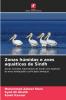 Zonas húmidas e aves aquáticas de Sindh