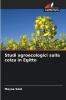 Studi agroecologici sulla colza in Egitto