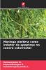 Moringa oleifera como indutor de apoptose no cancro colorrectal