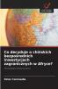 Co decyduje o chińskich bezpośrednich inwestycjach zagranicznych w Afryce?