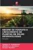 REGIME DE FOSFATO E CRESCIMENTO DE PLANTAS DE MILHO DESENVOLVIDAS