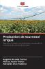 Production de tournesol irrigué