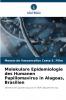 Molekulare Epidemiologie des Humanen Papillomavirus in Alagoas Brasilien