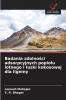 Badania zdolności adsorpcyjnych popiołu lotnego i łuski kokosowej dla ligniny