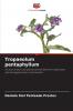 Tropaeolum pentaphyllum