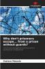 Why don't prisoners escape... from a prison without guards?