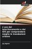 L'uso del telerilevamento e dei GIS per comprendere meglio le inondazioni urbane