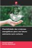 Flexibilidade dos sistemas energéticos para um futuro ambiente sem carbono