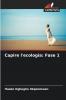 Capire l'ecologia