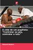 A vida de um pugilista