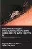Leishmania major