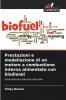 Prestazioni e modellazione di un motore a combustione interna alimentato con biodiesel