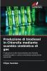 Produzione di biodiesel in Chlorella mediante scambio simbiotico di gas