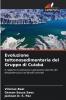 Evoluzione tettonosedimentaria del Gruppo di Cuiabá