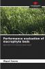 Performance evaluation of macrophyte beds