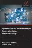System kontroli wewnętrznej w firmie pieniądza elektronicznego