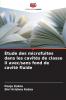 Étude des microfuites dans les cavités de classe II avec/sans fond de cavité fluide