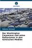 Der Washington Consensus und seine Reflexionen in den türkischen Medien