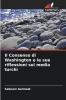 Il Consenso di Washington e le sue riflessioni sui media turchi